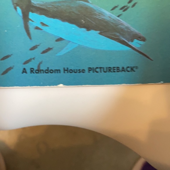 “Whales and Other Creatures of the Sea” kids book - Picture 6 of 16